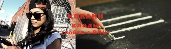 шишки Киренск