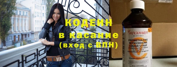 шишки Киренск