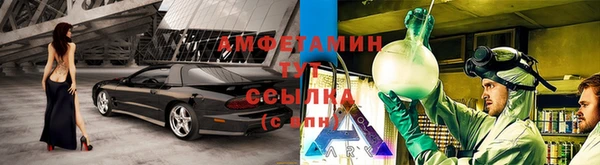 шишки Киренск